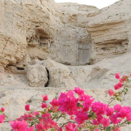 Villa Dead Sea Dawn Neot HaKikar Exterior foto